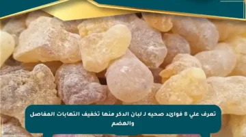 تعرف على 8 فوائد صحية لـ لبان الدكر منها تخفيف التهابات المفاصل والهضم